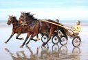 Icône Galop